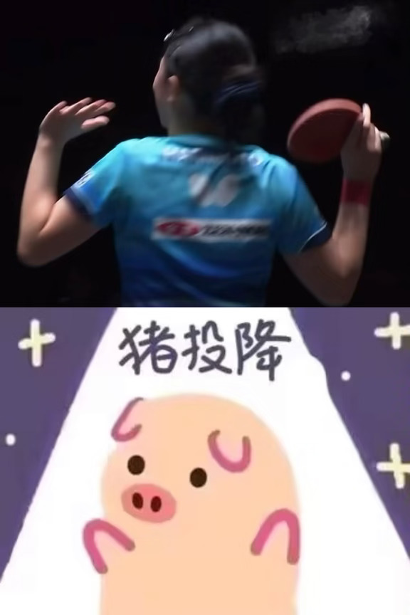 收集一些张本美和原形毕露时刻