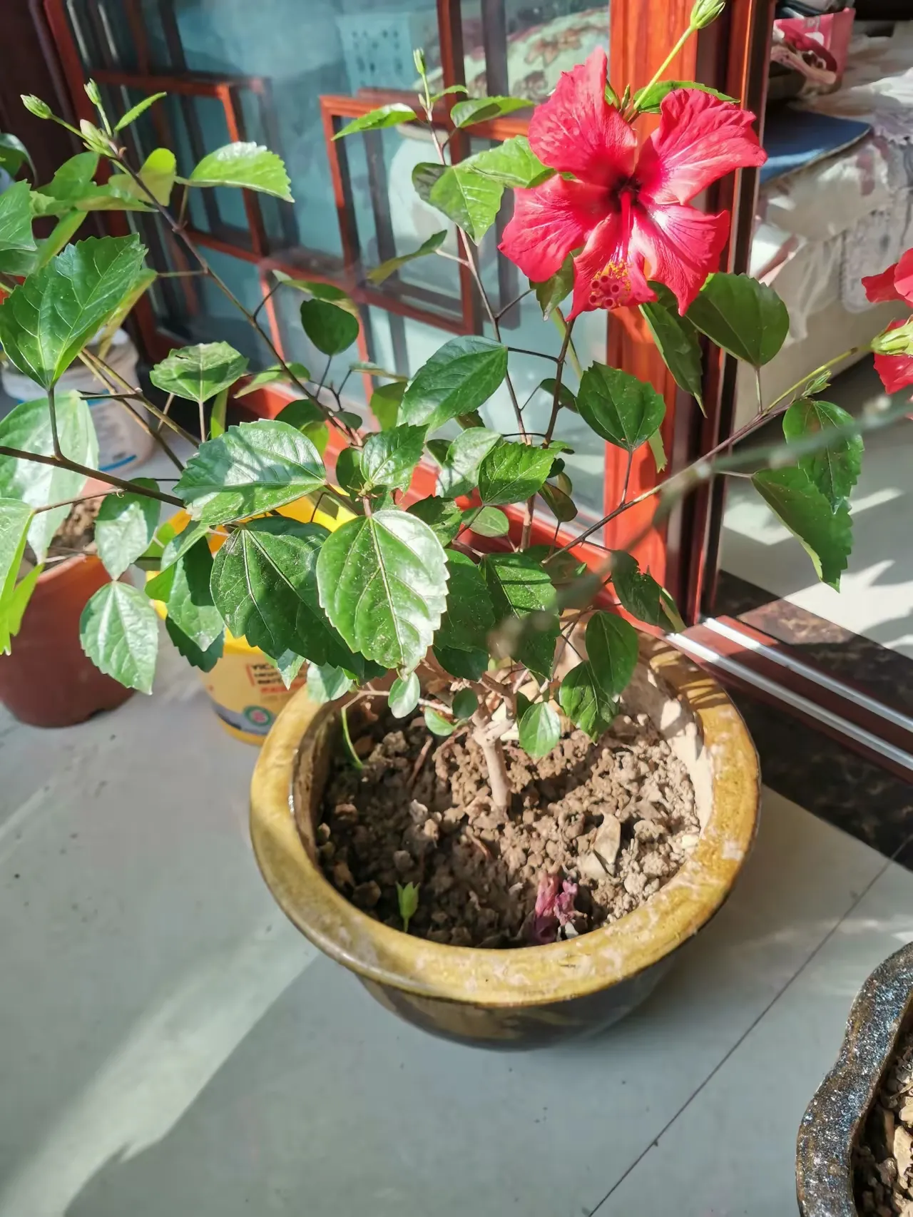 兄弟姐妹之间，要想保持好关系， 首先要做到以下几点 第一：要尊重和理解...