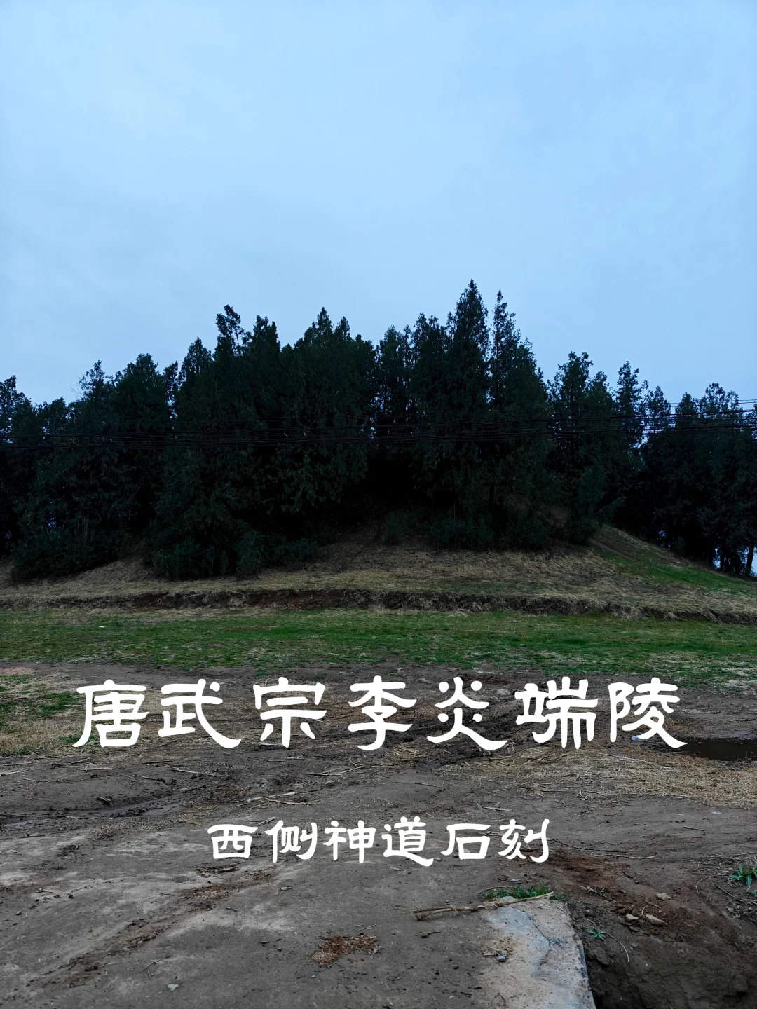 唐武宗李炎端陵西侧神道石刻