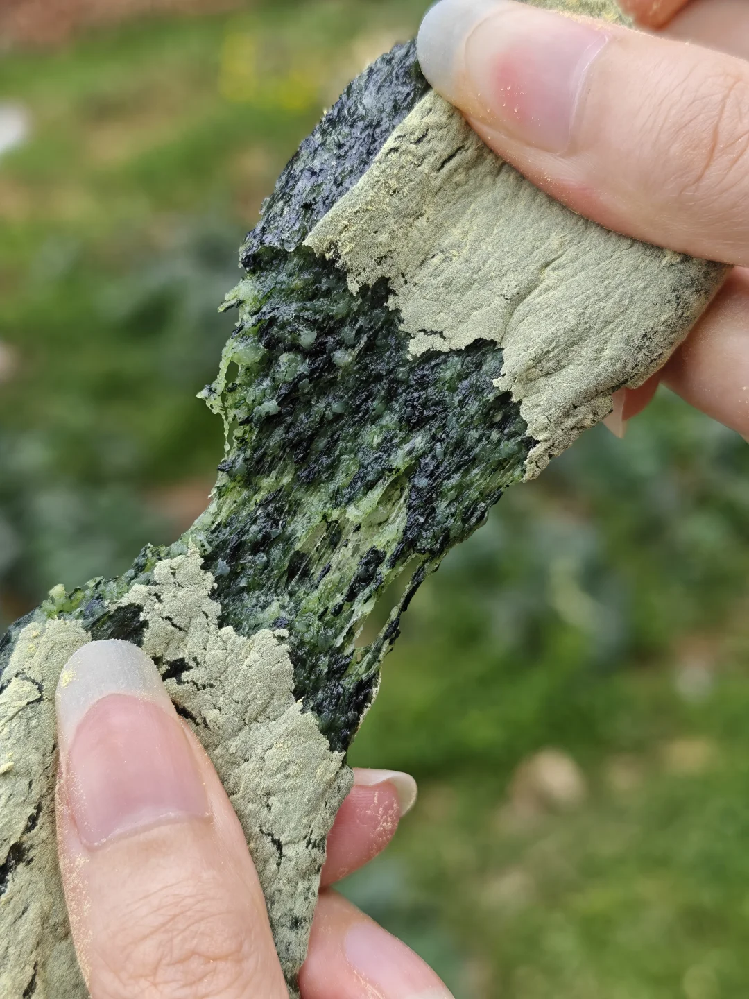 喜欢糯叽叽的，错过它是真糊涂🥴