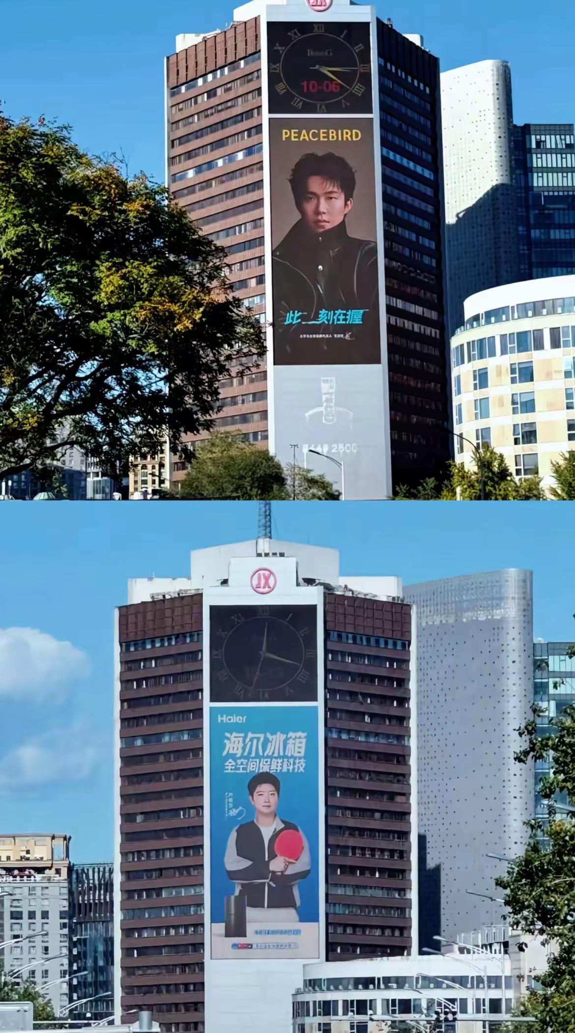 莎莎和头哥也太权威了孙颖莎独一档的存在