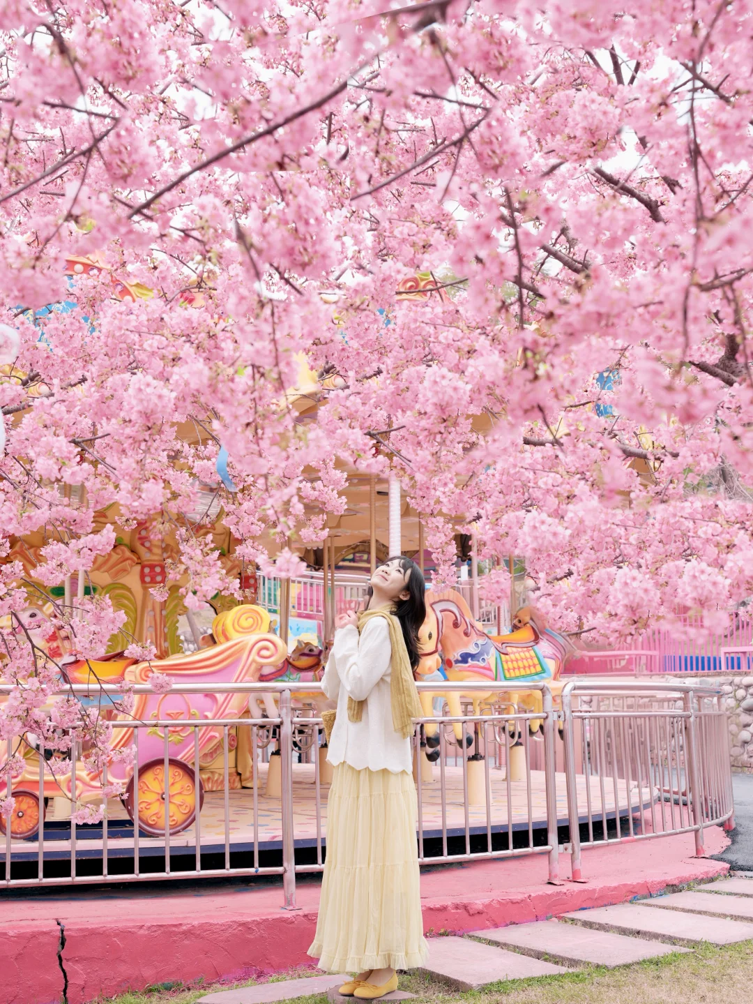 成都！！2.4实拍！！这里的粉樱已经开爆啦……