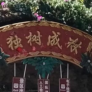 爱已逝生活仍要继续