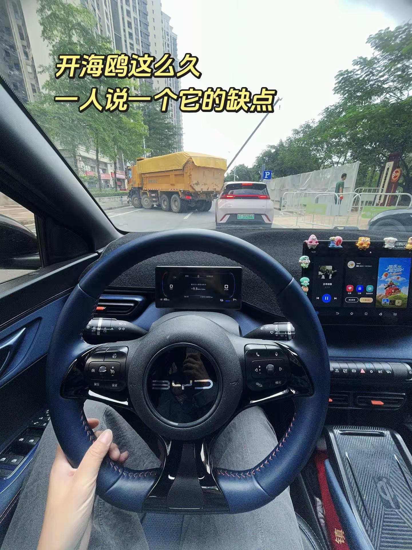 海鸥的缺点。开海鸥的车主这么多，一人说一个它的缺点比亚迪 比亚迪海鸥  电车难题 真实驾驶体验