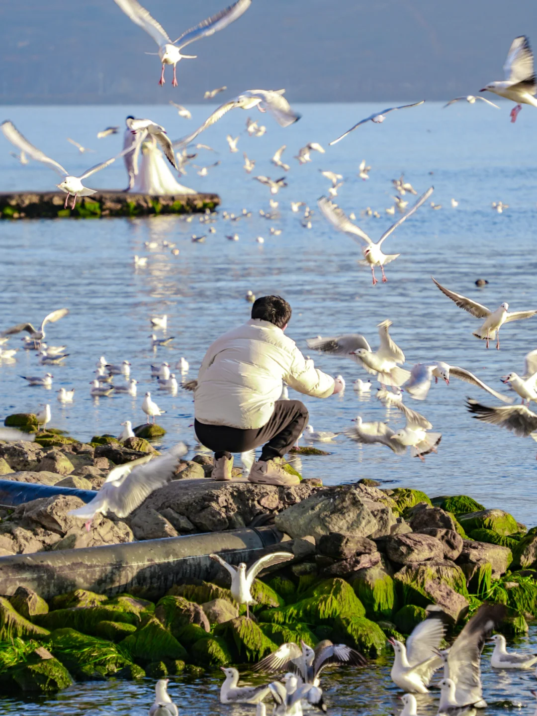 现在开始的大理，就是秋冬旅行的天花板