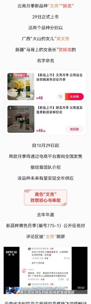 【#以英雄为名的文秀娇龙月季上市#】#以花铭记是中国人含蓄而深情的浪漫#云南月季新品种“文秀”“娇龙”29日正式上市，这两个品种分别以广西“大山的女儿”黄文秀、新疆“马背上的女县长”贺娇龙的名字命名。自10月29日起，两款月季将通过电商平台面向全国发售，据培育团队介绍，该品种未来有望实现全 ​