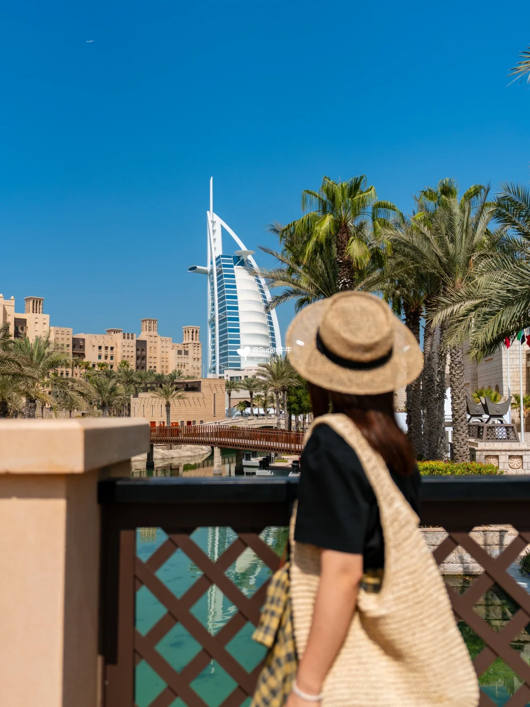 🇦🇪迪拜棕榈岛怎么玩❓看这篇攻略就够啦✔️