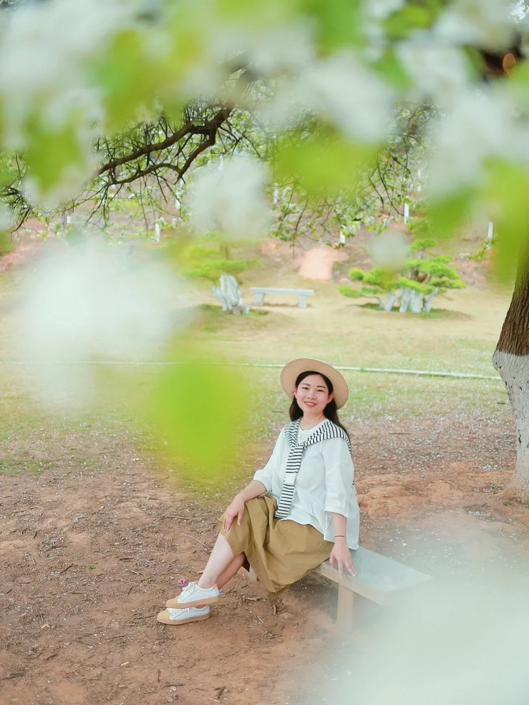 武汉小众公园📷这颗孤独的梨花树太美啦～