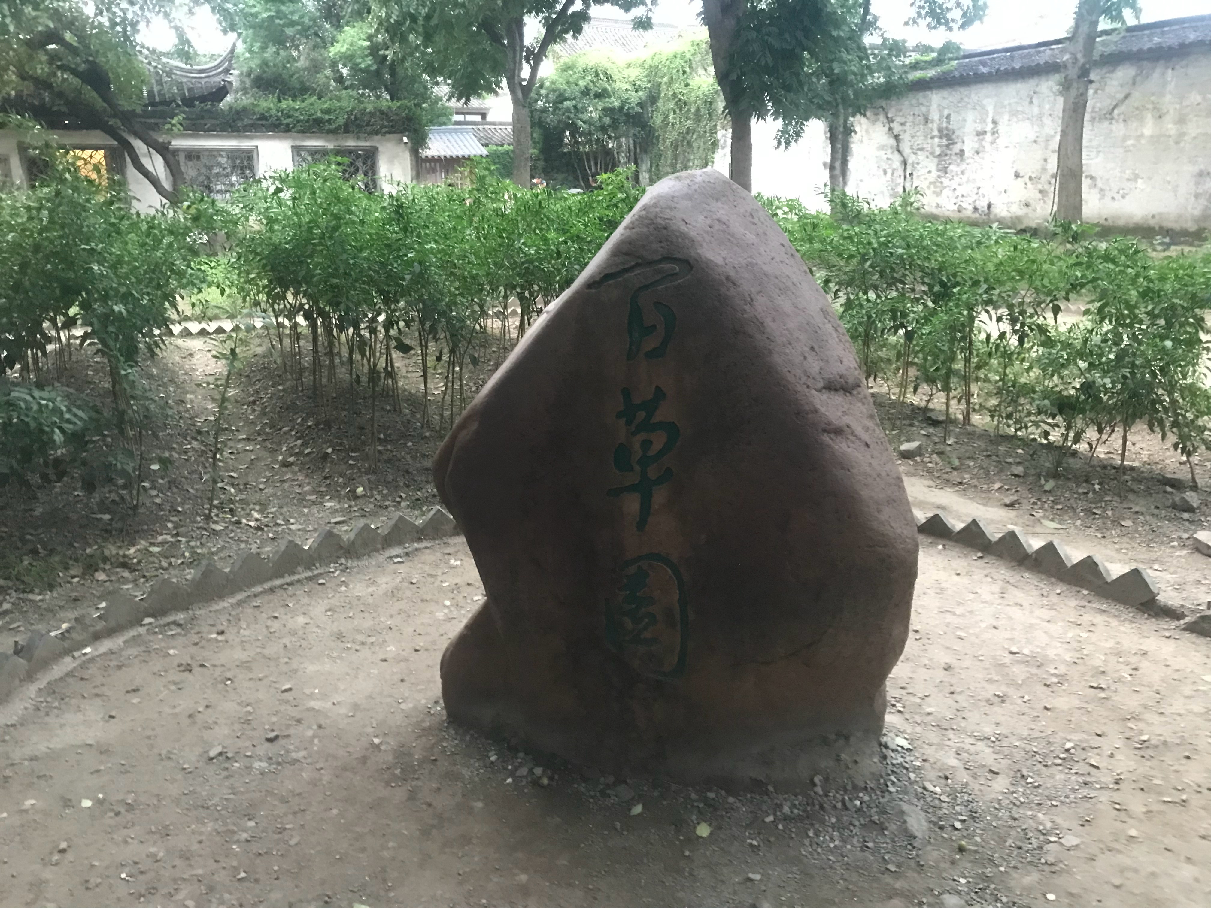 又来到了百草园，又见到了拔起来能毁掉墙的何首乌 绍兴·鲁迅故里-百草园