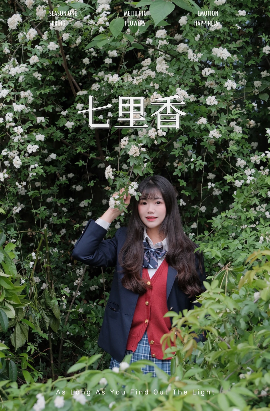 🌸成都！！这片七里香再不拍真的要错过了