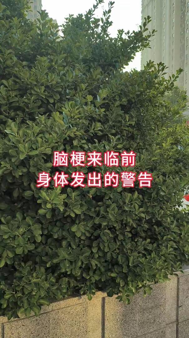 马刺还是太年轻了，关键失误&amp;绝杀不中，马刺主场再负尼克斯  