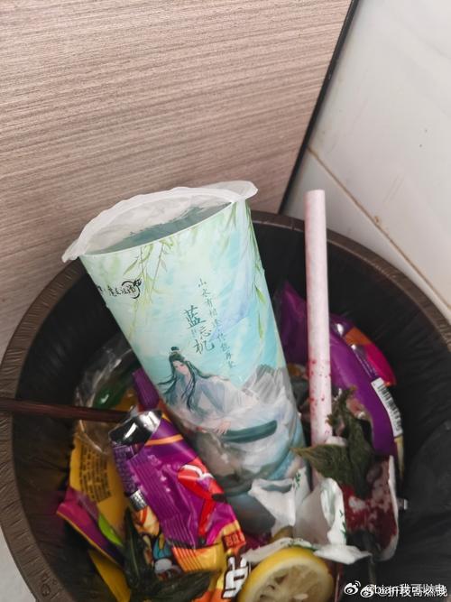 拎着三袋垃圾站在垃圾桶前，打开手机搜索“奶茶杯是什么垃圾”。 
旁边阿姨直接伸手帮我分类：“珍珠是湿垃圾，杯子是干垃圾。 
” 这届年轻人的生存技能，正在被垃圾分类重新定义。 ​