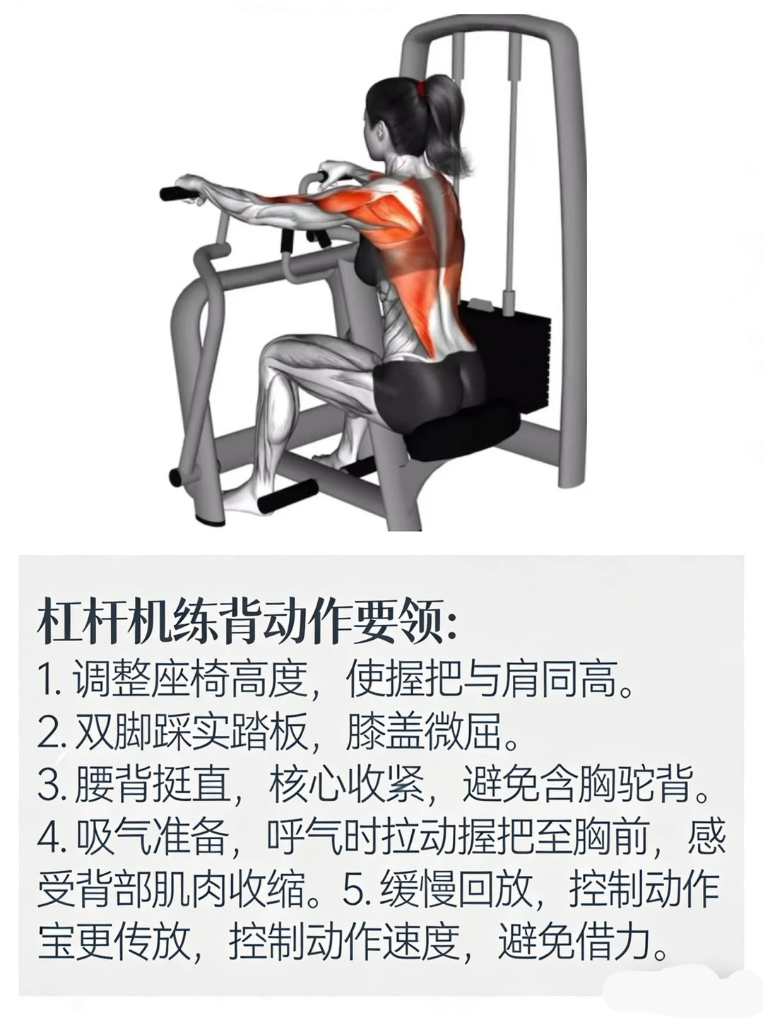 器械练背王炸动作！精准虐爆背阔肌💥