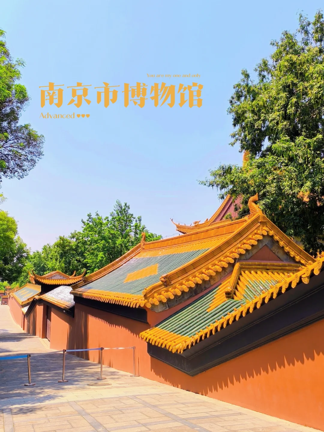 南京市博物馆免费开放21天！新展即将开启～