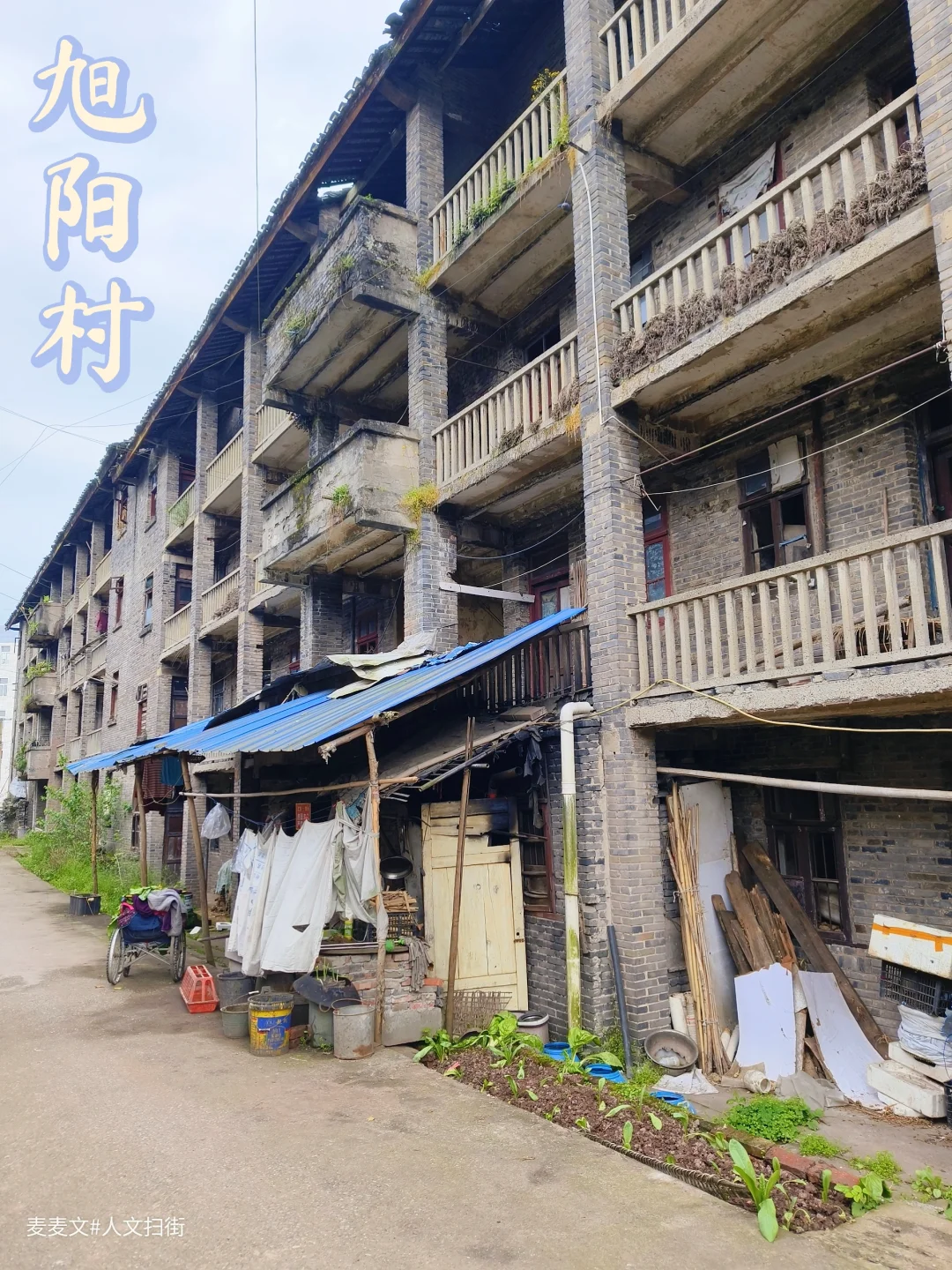 【广安】旭阳村的风吹过了半个世纪的温柔