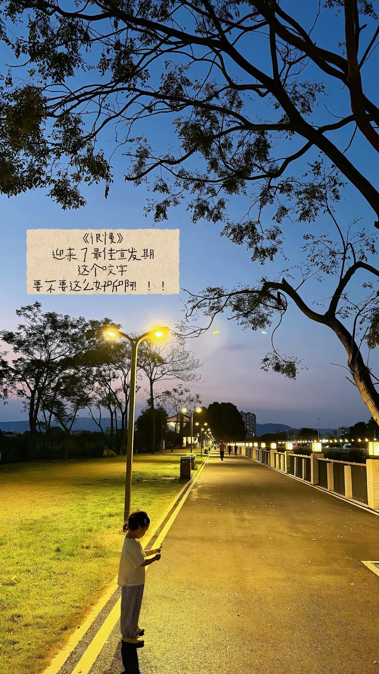 《很慢》也迎来了最佳宣发期！！！很慢