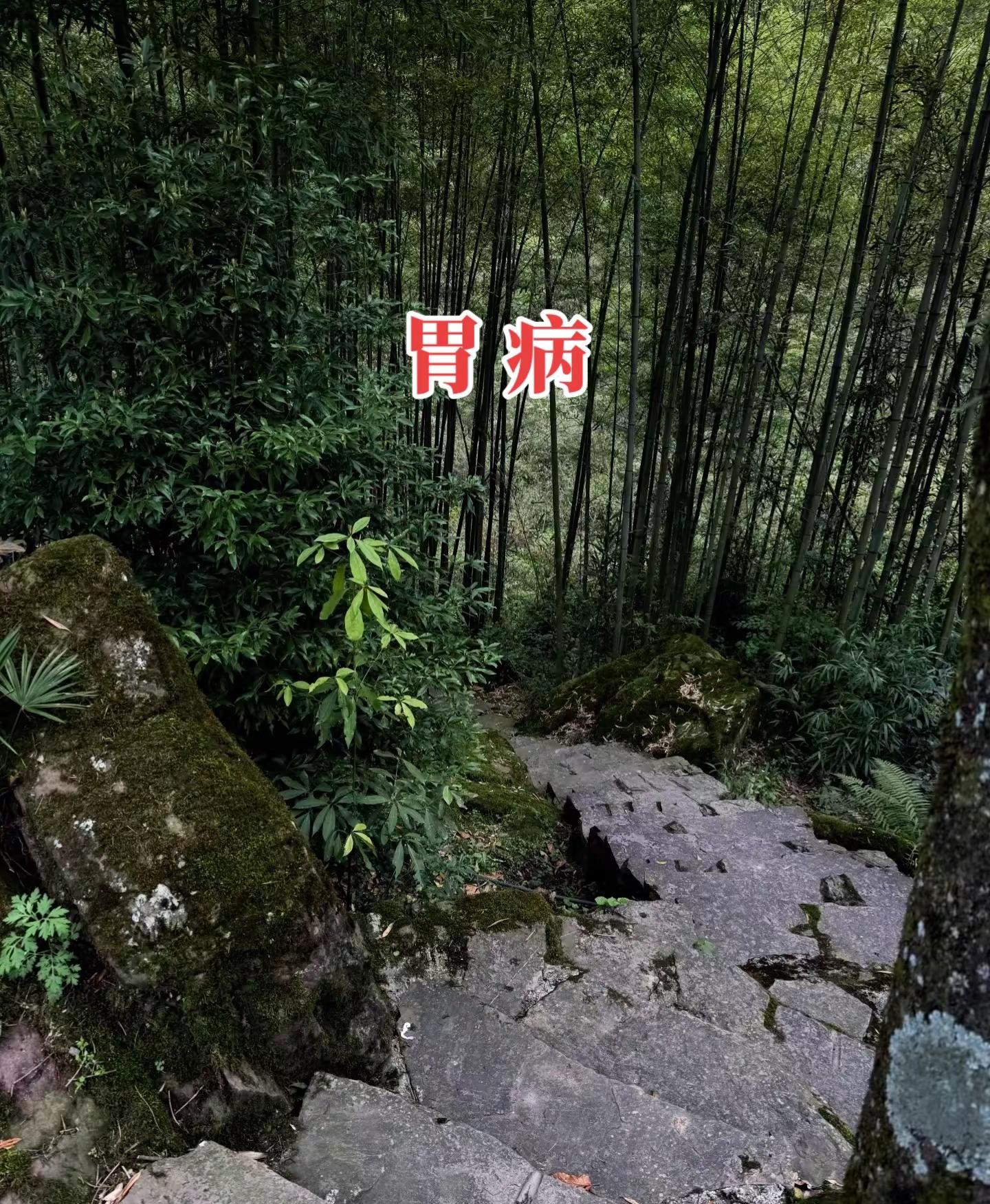 成都蓉城 4-5上海申花 | 进球大战，申花客场取胜