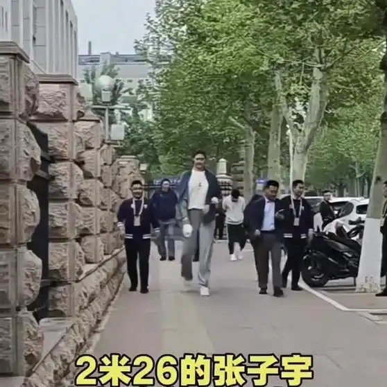 《张子宇走到哪里都是焦点，每次进门还得低头》播放量：37万 点赞量：2604 ​
