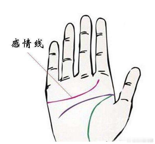 手相小常识指纹纹路是每个人都不同的，男性的指纹也有很多可以推测性格特点和命运的细节。如果男性指纹纹路明显，比如线条粗犷，说明个性比较阳刚，拥有锐利、果断的特点。类似爬山、穿越险峰等户外活动都比较适合。如果男性的指纹纹路比较柔和、细腻，则说明个性比较温和，不喜冲突，擅长在团队中协调，比如文化、艺术、科学等领域。