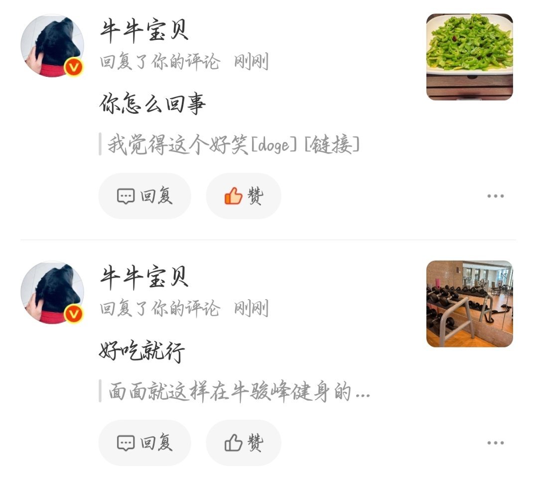不敢想牛骏峰回复我第二条评论的时候是怀着怎样的心情 ​