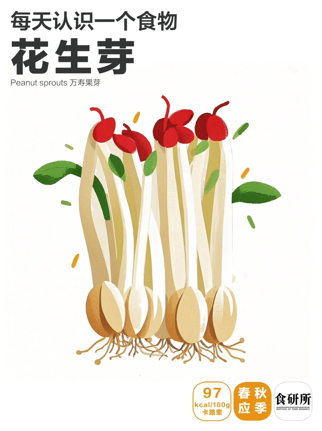 🥜春吃芽 | 花生芽春日抗氧王者~