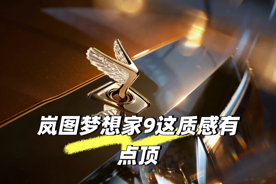 岚图梦想家9这质感有点顶