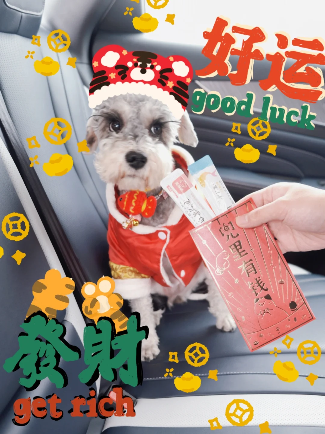 新年快乐！！🐶叔叔姨姨们今年旺旺