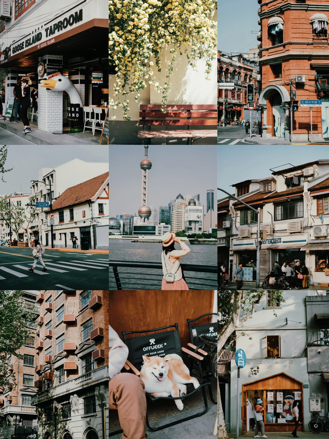 富士蓝‼️终于找到了好看又免费的富士滤镜