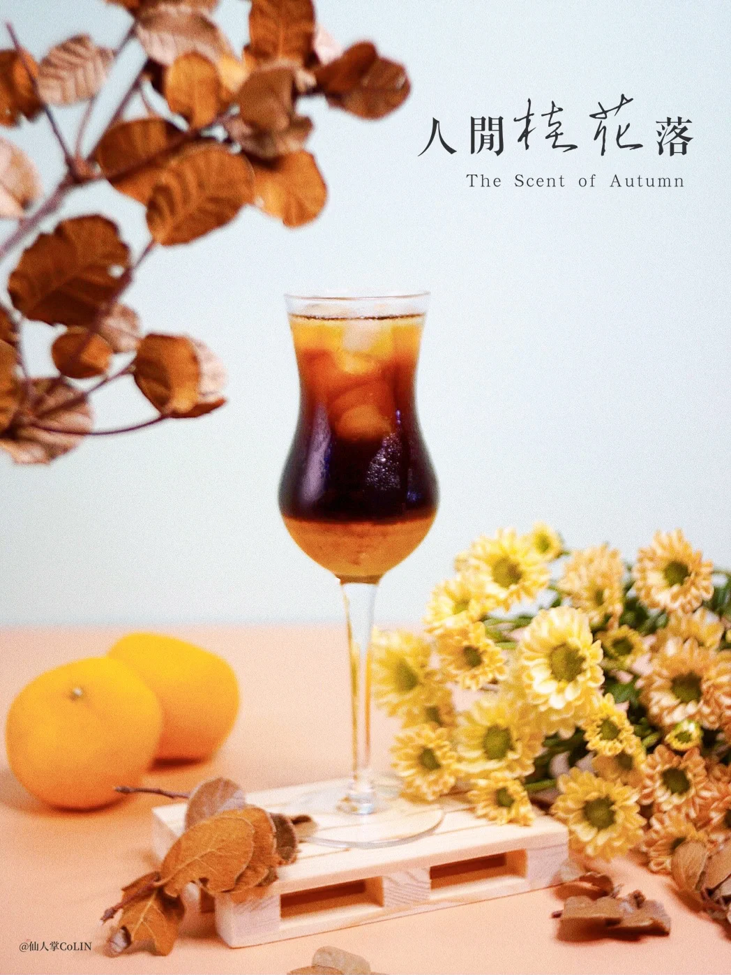 桂花满园的初秋🍂品一口花香肆溢の咖啡☕