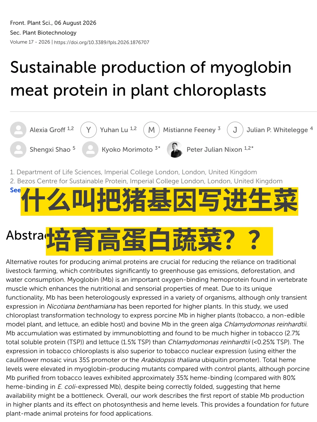 什么叫把猪基因写进生菜，培育高蛋白蔬菜？