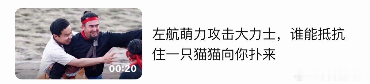 大萌猫又给我和后期能够呛了，啃死 ​