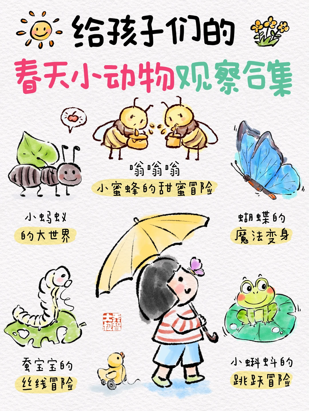 给孩子们的春天小动物观察合集🦋