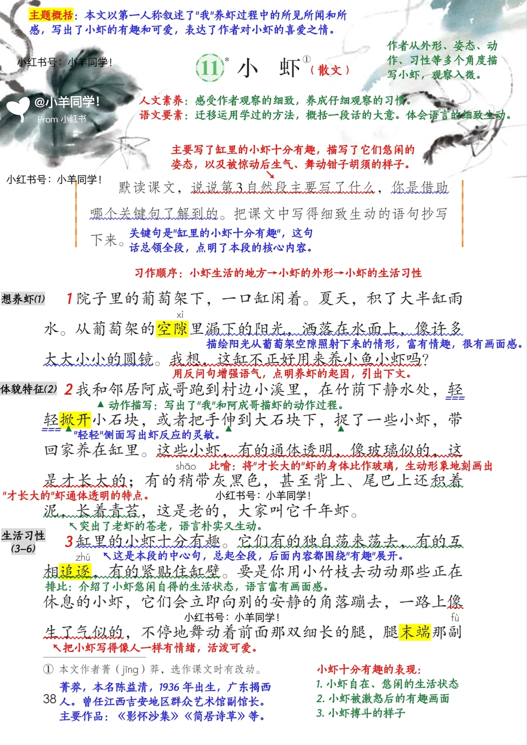 三年级下册丨第11课《小虾》语文笔记