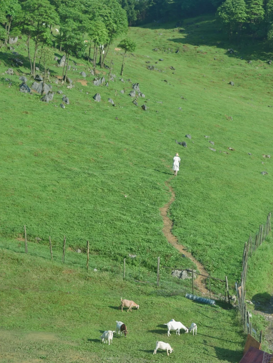 这不是瑞士，也不是新疆，在湖北省内！