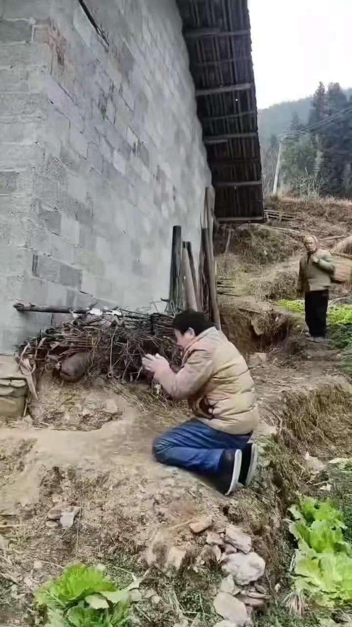 张艺兴 张艺兴演唱会