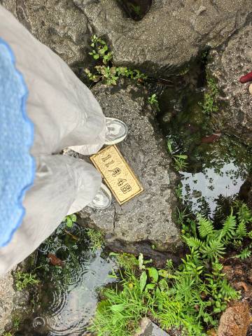 自从得知孩子因伤退赛，旅行途中也开心不起来，连绵阴雨如同我的心情<sp...