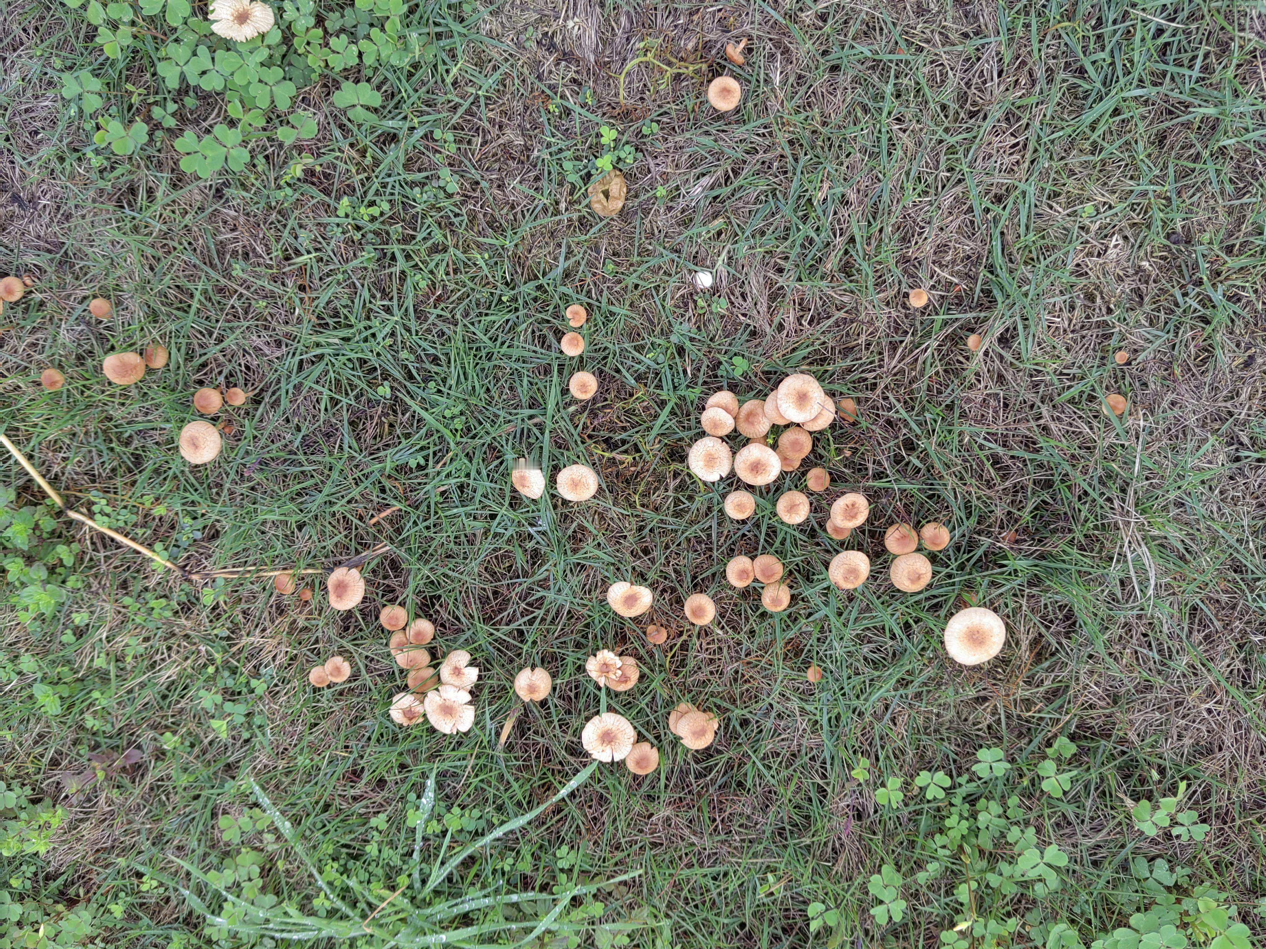 今天骑士输猛龙是预料之中的事，输一分是输，输20也是输，反正这一局一定...