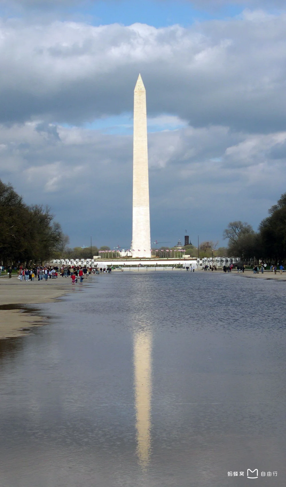 全美爆发史上最大规模抗议！超900万人上街