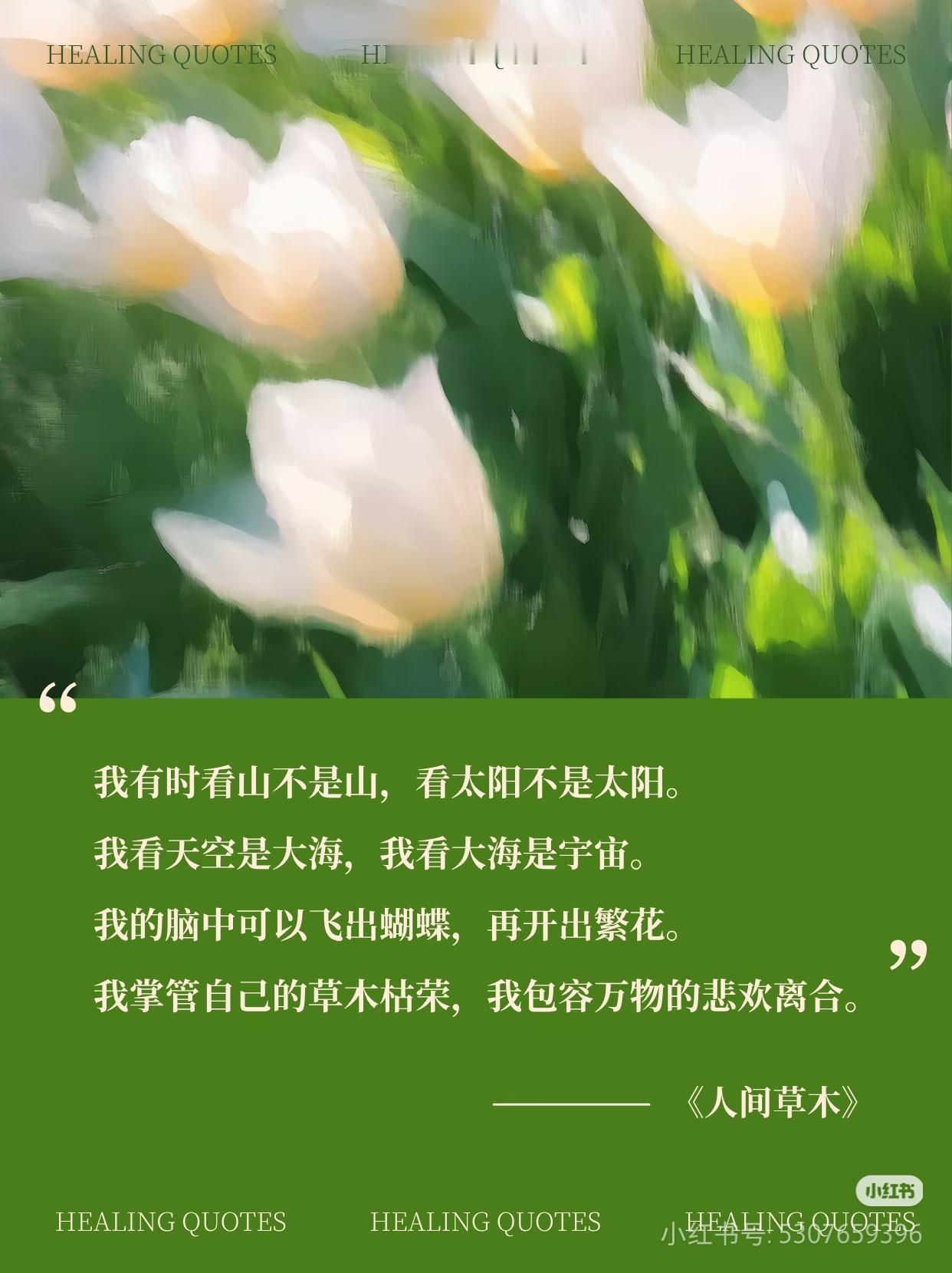 翻天好书推荐——《人间草木》❤️
本周推荐书籍：
《人间草木》
作者：汪曾祺
🌿 主题内容
汪曾祺先生以温润质朴的笔触，书写花草风物、四方食事、旧人旧事。一草一木，一饭一蔬，皆藏着生活的深情与趣味。透过他细腻的观察与恬淡的叙述，我们仿佛也被轻轻唤醒——原来美好一直都在细微处流淌，等待 ​