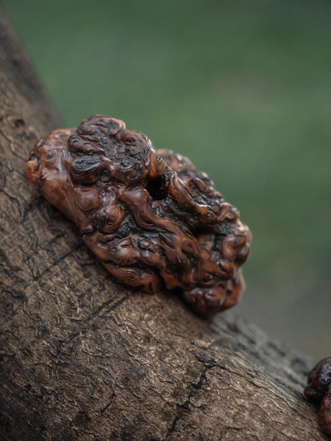 孤品收藏 | 这枚根雕，是可以焚香的雕塑