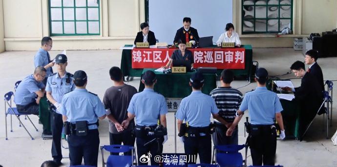 【提醒！野外碰到这种“金毛狗”，千万别随便带走】金毛狗蕨，根茎覆着一层金黄色绒毛，形态酷似伏地的金毛犬，是花卉市场上颇受欢迎的观赏蕨类。收购、出售这一看似常见的观赏植物，为何也会触犯法律红线？

2026年8月15日《中华人民共和国生态环境法典》施行后，四川成都法院审理的首例危害国家重点 ​