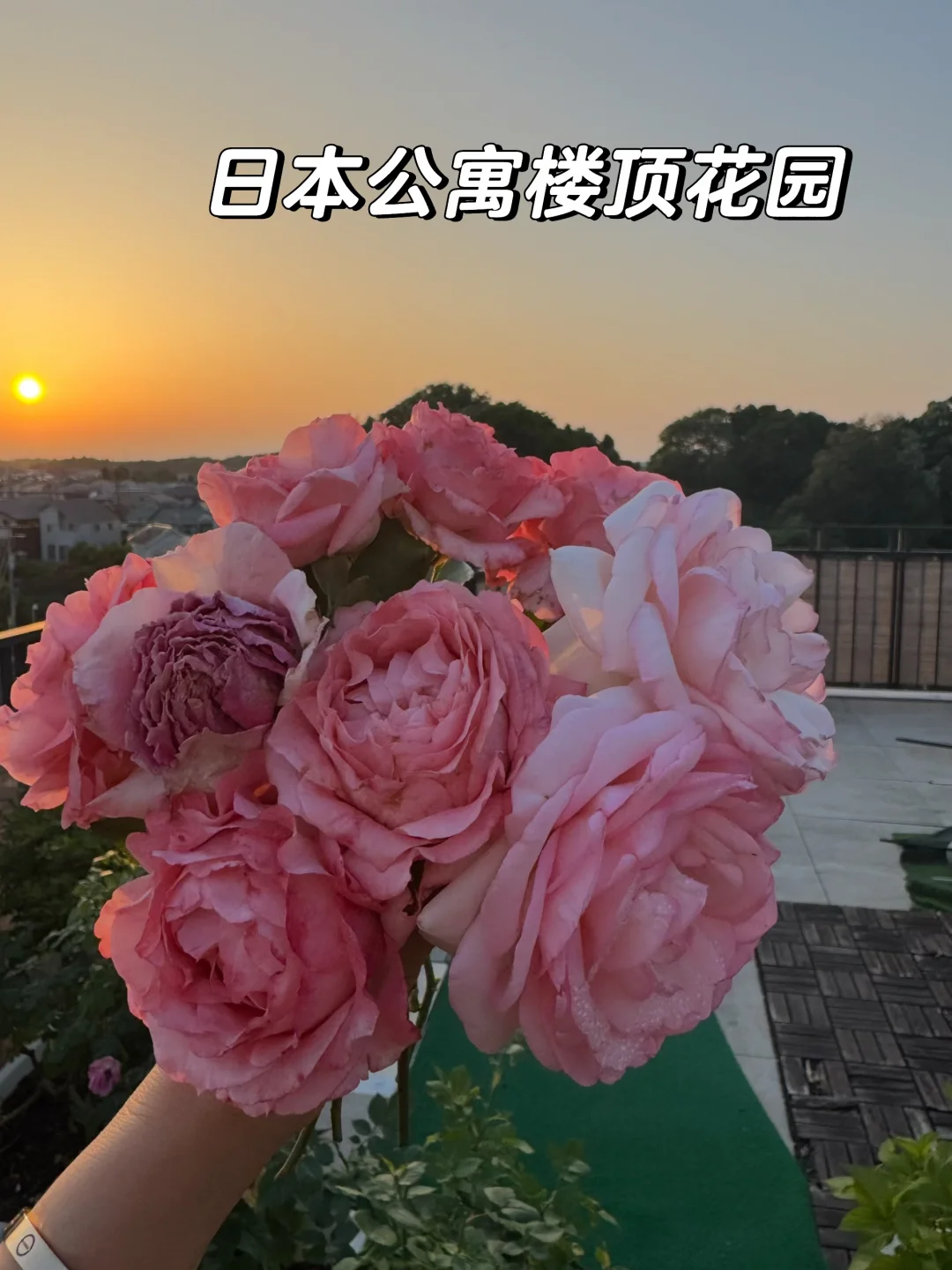日本公寓楼顶花园，最治愈的角落