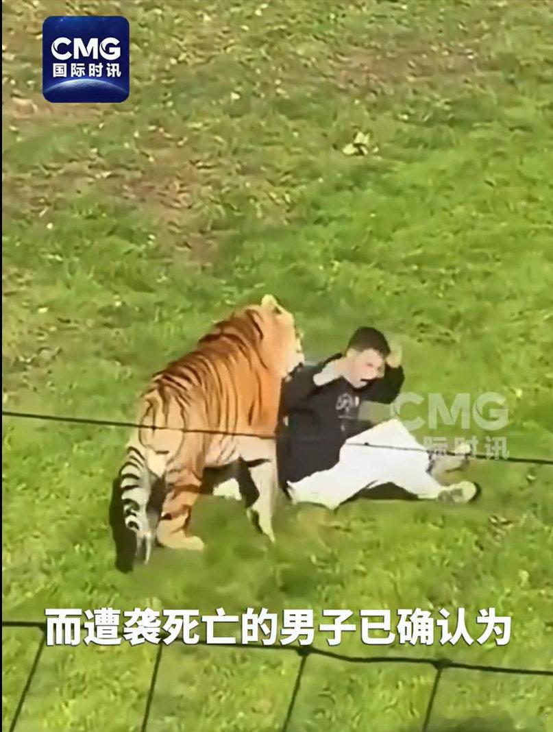 #遭老虎袭击身亡男子曾是童星#[惊恐]他是怎么敢的 ​