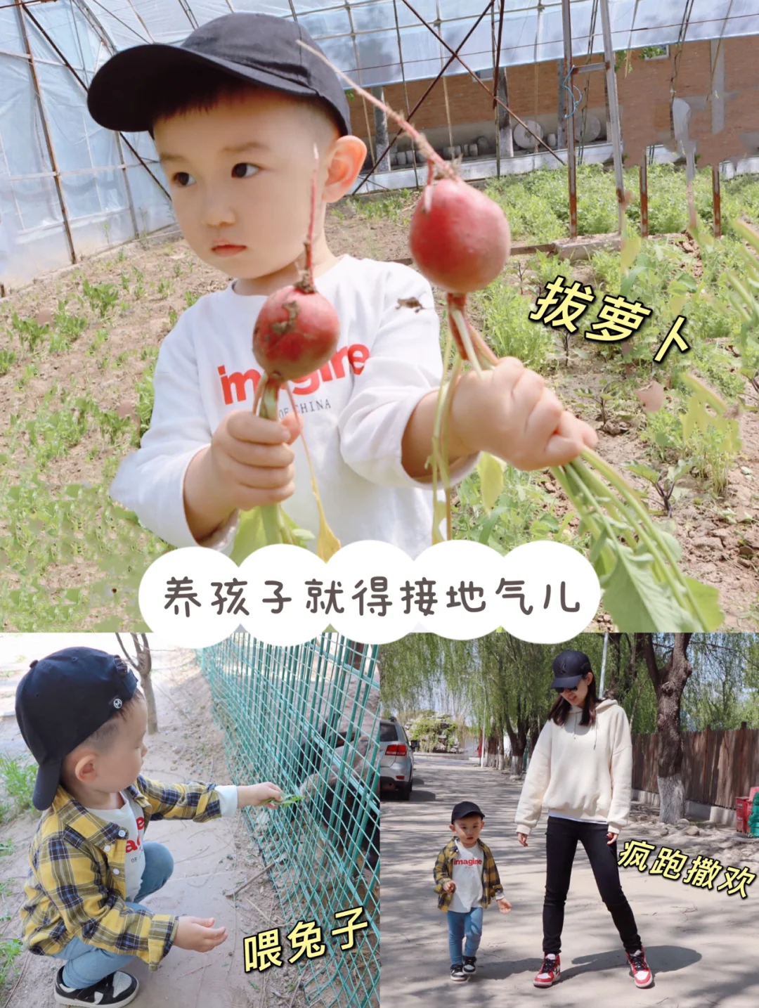 劳动生活体验日|没想到孩子这么爱干活儿