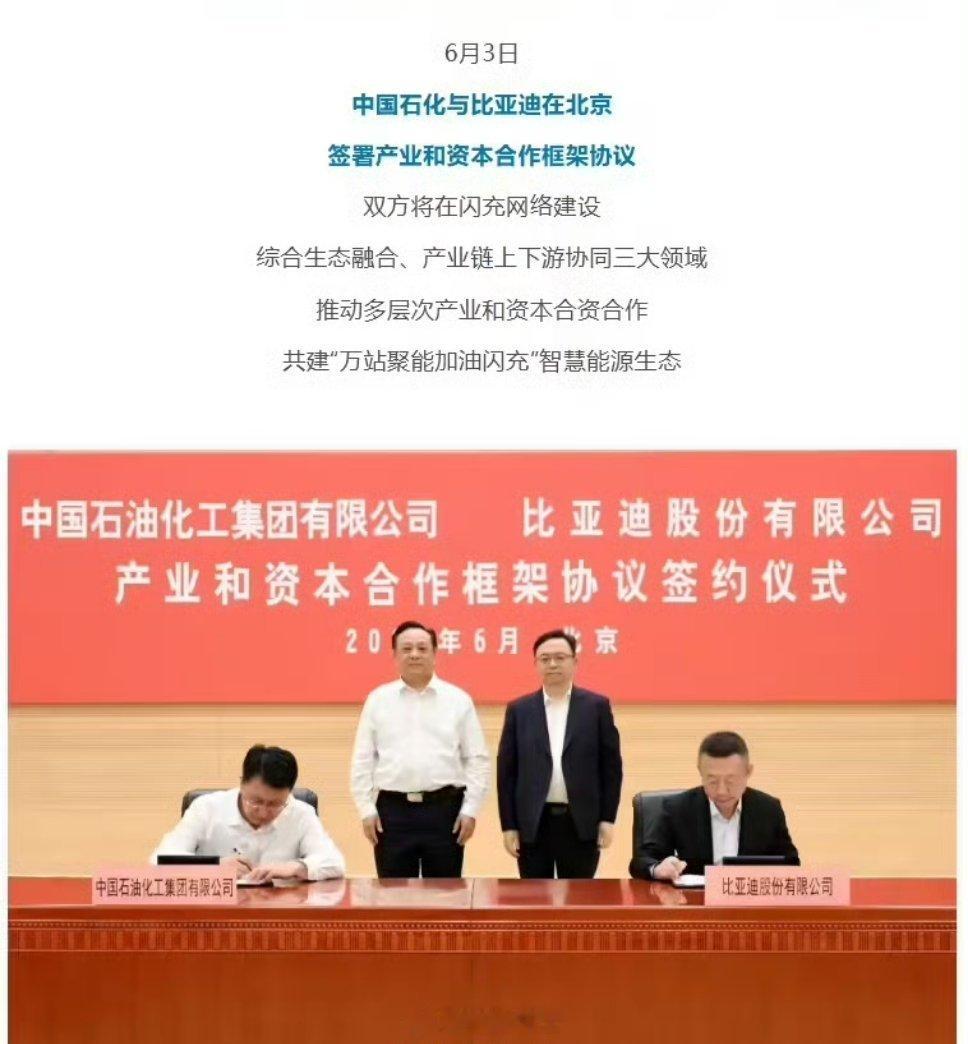 比亚迪你是个天才[允悲]