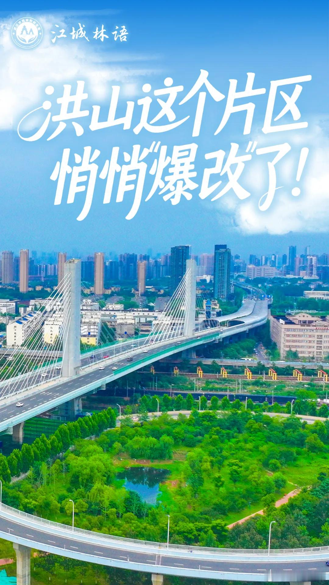 #来武汉逛街区购好物# 【洪山这个片区，悄悄“爆改”了！】走进洪山区毛坦公园片区，13.62万平方米的公园绿地满目苍翠，运动场上活力四射；张家湾街国际汽车科技园、毛坦C5智电产业园内，小米、蔚来、小鹏等新能源汽车品牌相继入驻，一派繁忙景象。这片曾经的城市管理“洼地”，如今已成为生态宜居、产 ​