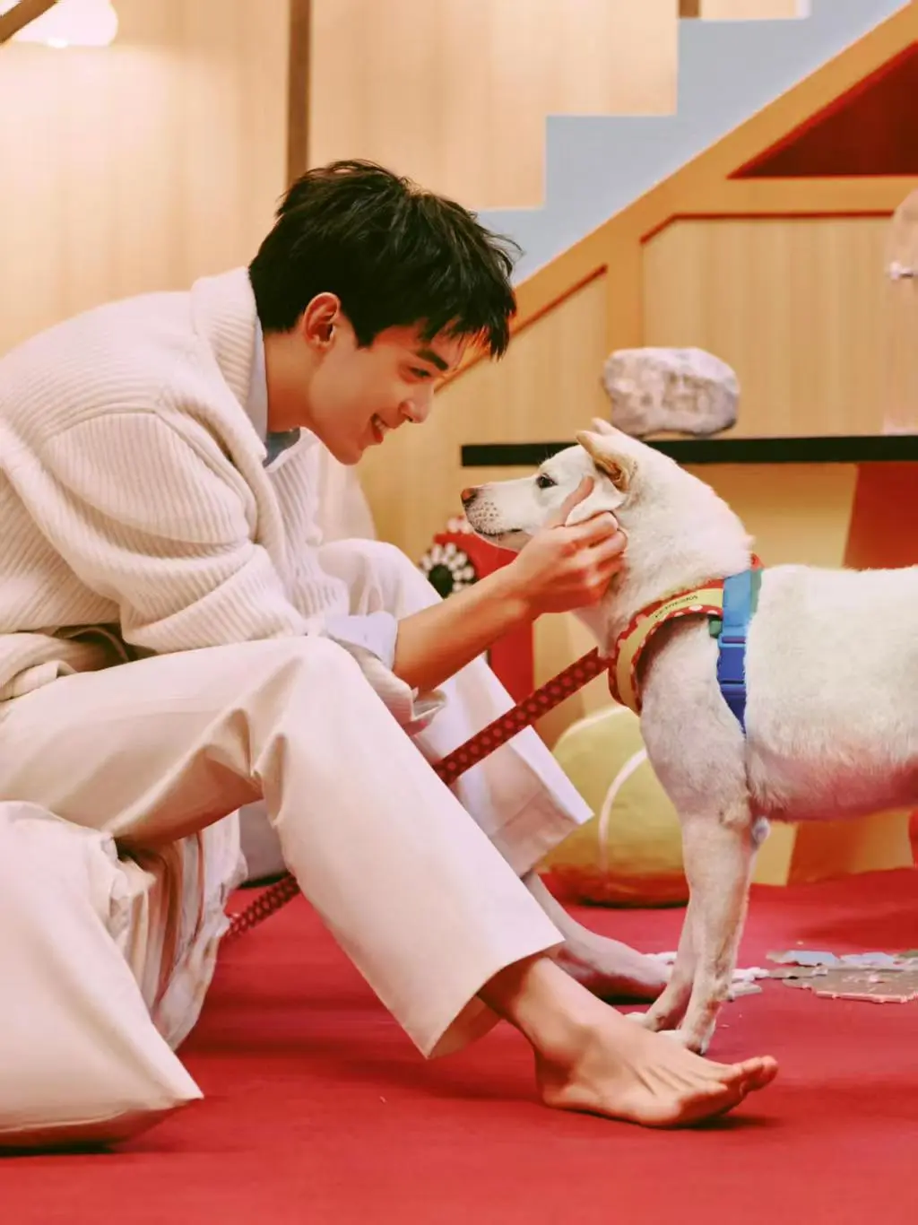 吴磊好像又变帅了怎么办