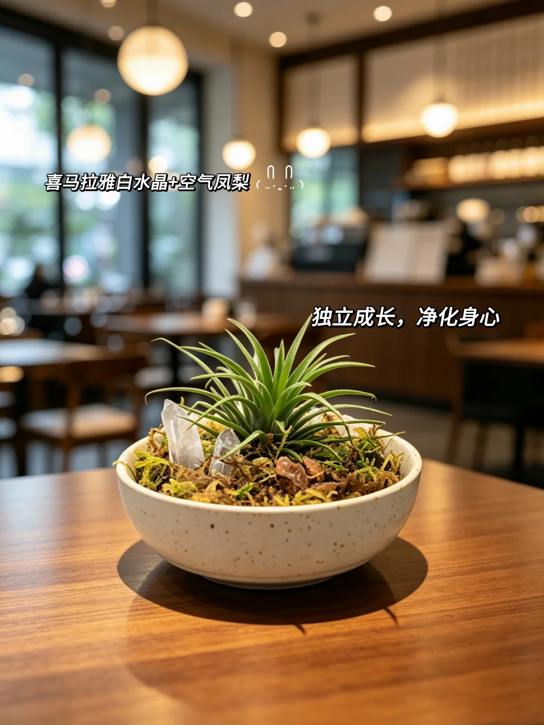 谁说办公室不能绿意盎然🌿
