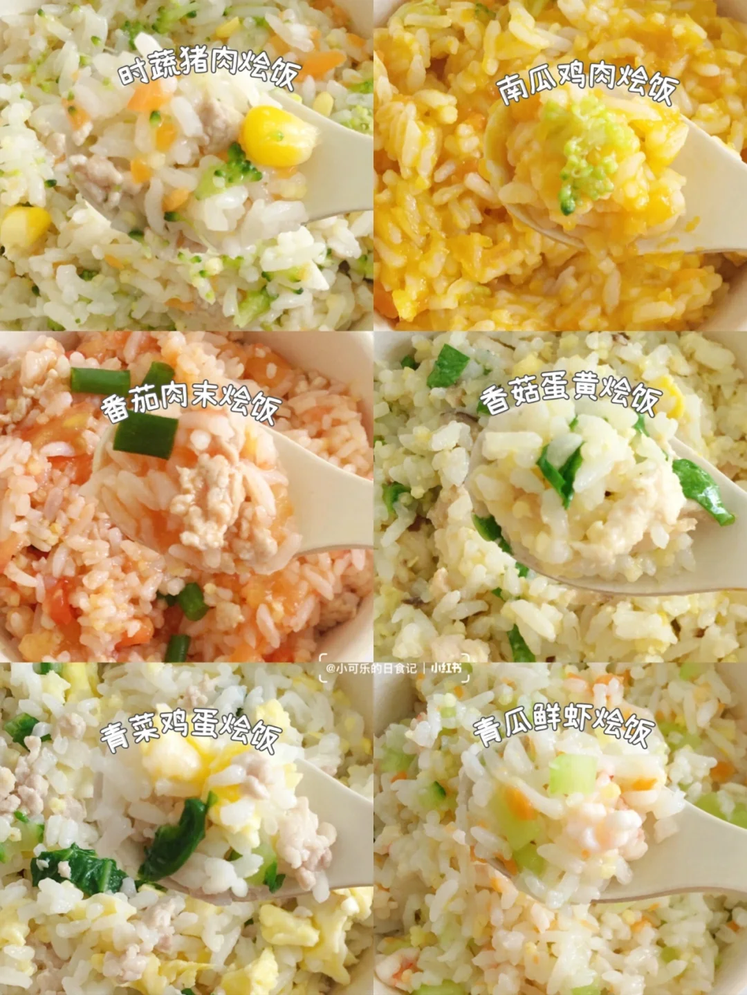10M+宝宝辅食｜一周不重样辅食烩饭｜营养均衡
