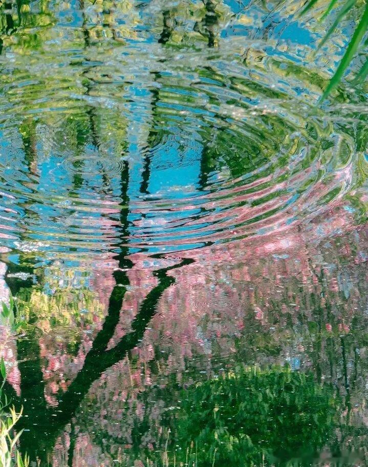 “我好平庸啊。”今天睡醒起来，脑海中浮现的就是这样一句话。张北是一张砂...